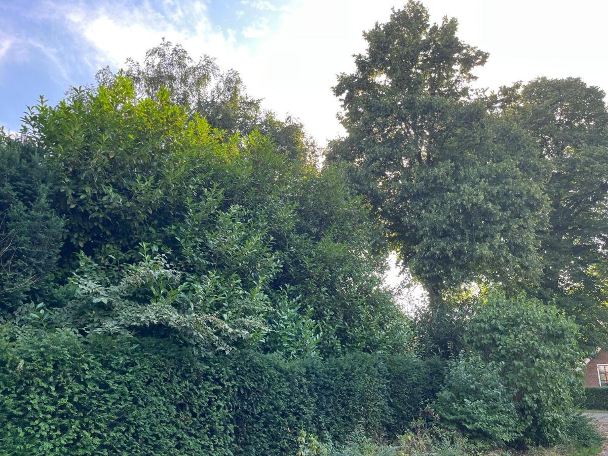 Zwols Groen Zwolle  Esterno foto